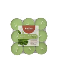 Αρωματικό Ρεσώ 4ωρών Bolsius True Scents 18άδα - Πράσινο Τσάι(Κιβώτιο-8τμχ)