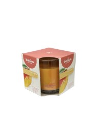 Αρωματικό Κερί Σε Ποτήρι 95/95mm Bolsius True Scents -Μάνγκο(Κιβώτιο-4τμχ)