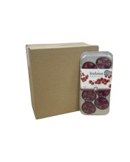 Waxmelts Aromatic Bolsius 8άδα - Wild Cranberry (Κιβώτιο-8τμχ)