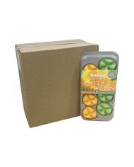 Waxmelts Aromatic Bolsius 8άδα - Joyful & Happy (Κιβώτιο-8τμχ)